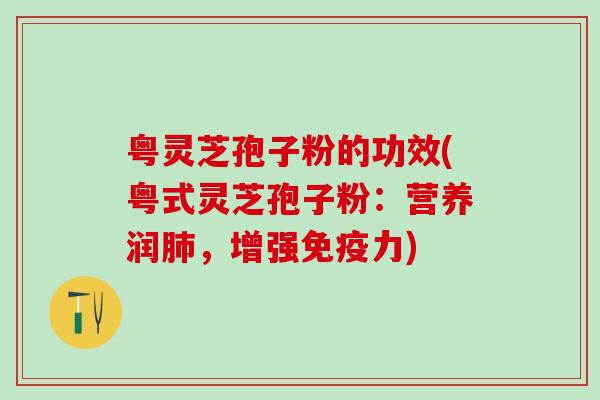 粤灵芝孢子粉的功效(粤式灵芝孢子粉：营养润肺，增强免疫力)