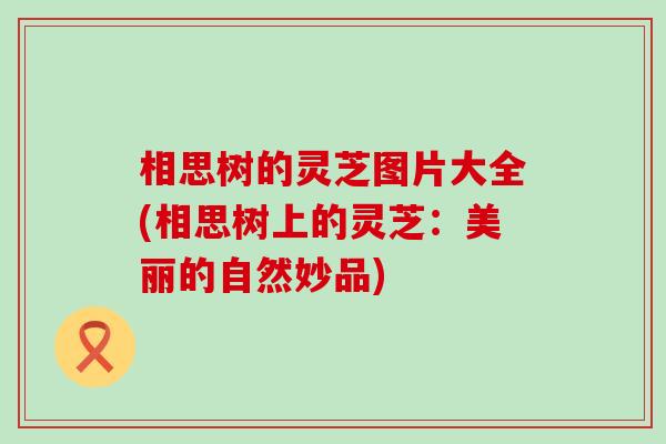 相思树的灵芝图片大全(相思树上的灵芝：美丽的自然妙品)