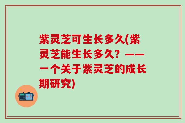 紫灵芝可生长多久(紫灵芝能生长多久？——一个关于紫灵芝的成长期研究)
