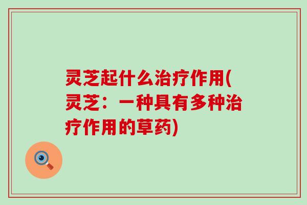 灵芝起什么治疗作用(灵芝：一种具有多种治疗作用的草药)