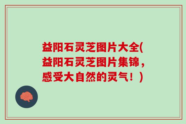 益阳石灵芝图片大全(益阳石灵芝图片集锦，感受大自然的灵气！)