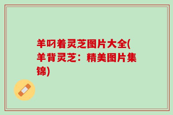 羊叼着灵芝图片大全(羊背灵芝：精美图片集锦)