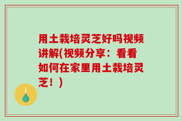 用土栽培灵芝好吗视频讲解(视频分享：看看如何在家里用土栽培灵芝！)