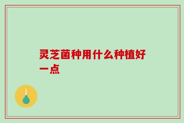 灵芝菌种用什么种植好一点