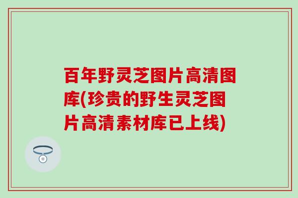 百年野灵芝图片高清图库(珍贵的野生灵芝图片高清素材库已上线)