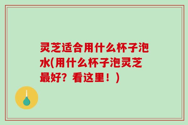 灵芝适合用什么杯子泡水(用什么杯子泡灵芝最好？看这里！)