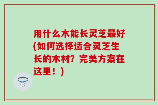 用什么木能长灵芝最好(如何选择适合灵芝生长的木材？完美方案在这里！)