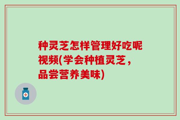 种灵芝怎样管理好吃呢视频(学会种植灵芝，品尝营养美味)