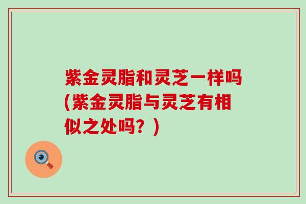 紫金灵脂和灵芝一样吗(紫金灵脂与灵芝有相似之处吗?) 紫金灵脂和灵芝一样吗(紫金灵脂与灵芝有相似之处吗?)