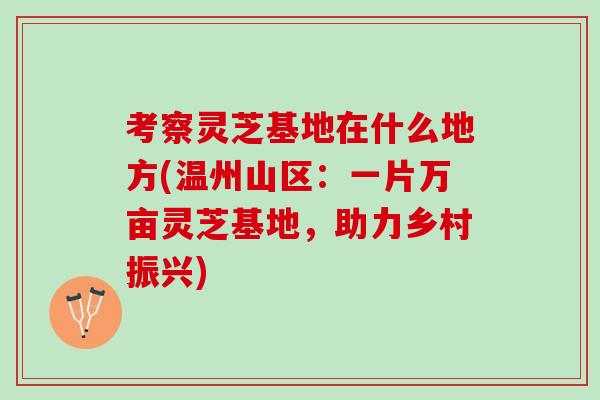 考察灵芝基地在什么地方(温州山区:一片万亩灵芝基地,助力乡村振兴) 考察灵芝基地在什么地方(温州山区:一片万亩灵芝基地,助力乡村振兴)
