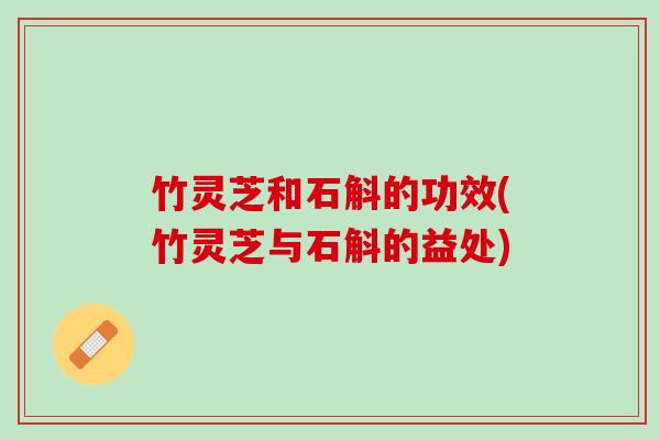竹灵芝和石斛的功效(竹灵芝与石斛的益处)
