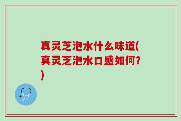 真灵芝泡水什么味道(真灵芝泡水口感如何？)