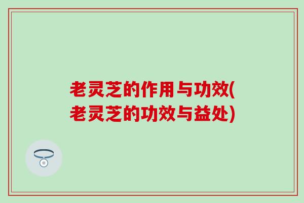 老灵芝的作用与功效(老灵芝的功效与益处)