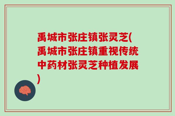 禹城市张庄镇张灵芝(禹城市张庄镇重视传统中药材张灵芝种植发展)