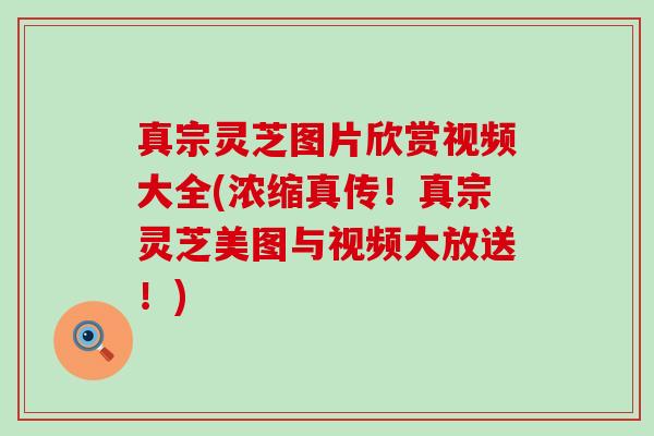 真宗灵芝图片欣赏视频大全(浓缩真传！真宗灵芝美图与视频大放送！)