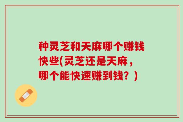 种灵芝和天麻哪个赚钱快些(灵芝还是天麻，哪个能快速赚到钱？)