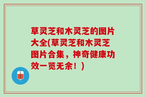 草灵芝和木灵芝的图片大全(草灵芝和木灵芝图片合集，神奇健康功效一览无余！)
