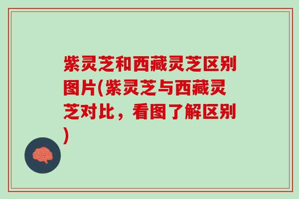 紫灵芝和西藏灵芝区别图片(紫灵芝与西藏灵芝对比，看图了解区别)