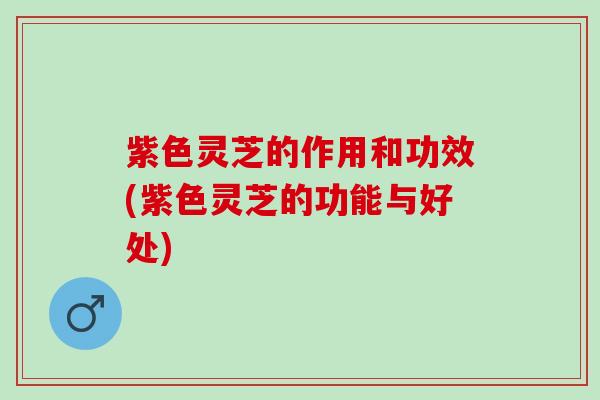 紫色灵芝的作用和功效(紫色灵芝的功能与好处)