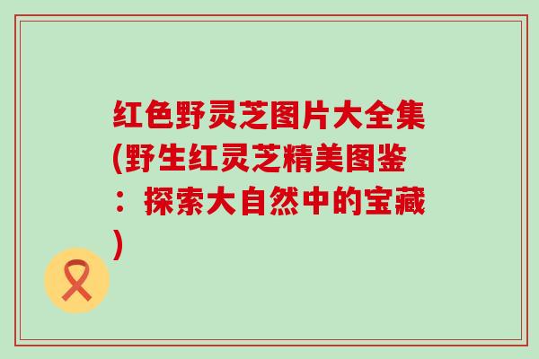 红色野灵芝图片大全集(野生红灵芝精美图鉴：探索大自然中的宝藏)