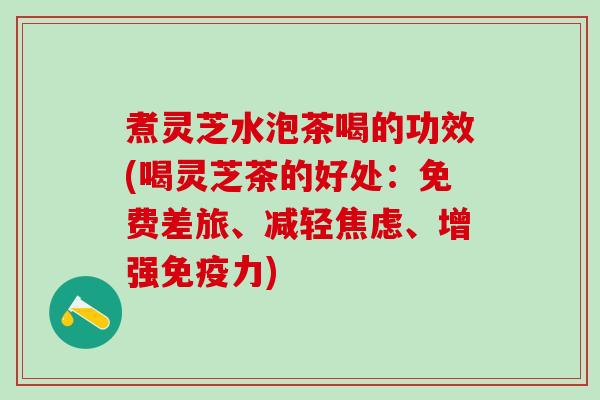 煮灵芝水泡茶喝的功效(喝灵芝茶的好处：免费差旅、减轻焦虑、增强免疫力)