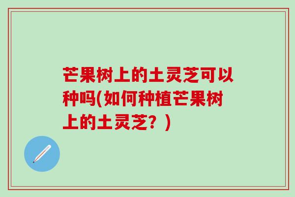 芒果树上的土灵芝可以种吗(如何种植芒果树上的土灵芝？)
