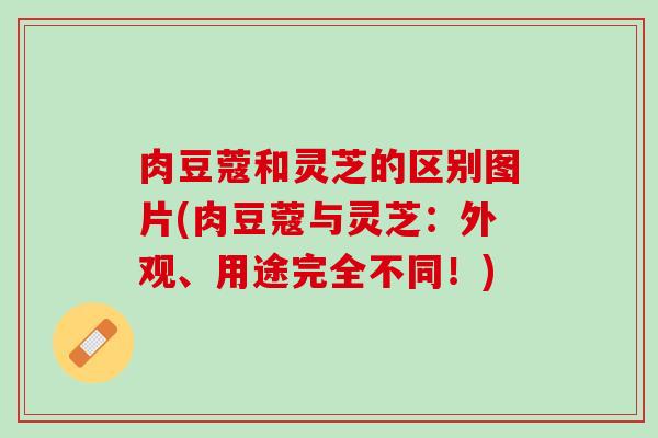 肉豆蔻和灵芝的区别图片(肉豆蔻与灵芝：外观、用途完全不同！)
