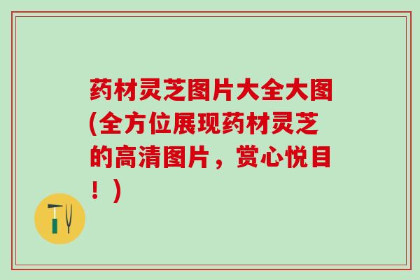 药材灵芝图片大全大图(全方位展现药材灵芝的高清图片，赏心悦目！)