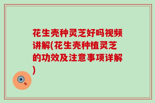 花生壳种灵芝好吗视频讲解(花生壳种植灵芝的功效及注意事项详解)