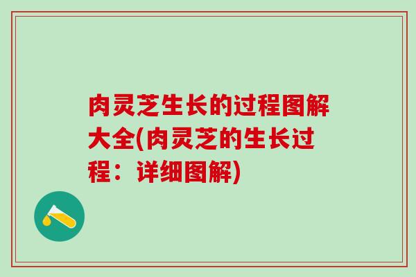 肉灵芝生长的过程图解大全(肉灵芝的生长过程：详细图解)