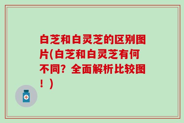 白芝和白灵芝的区别图片(白芝和白灵芝有何不同？全面解析比较图！)