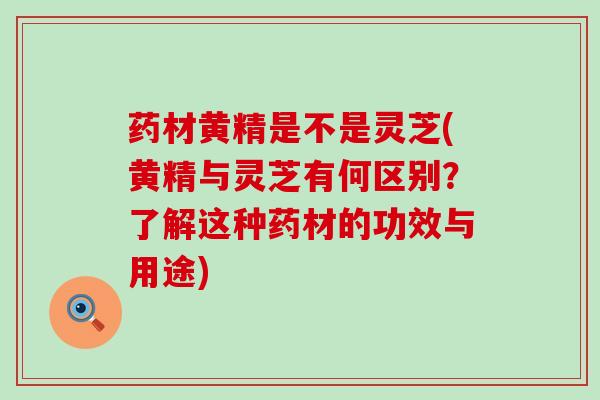 药材黄精是不是灵芝(黄精与灵芝有何区别？了解这种药材的功效与用途)