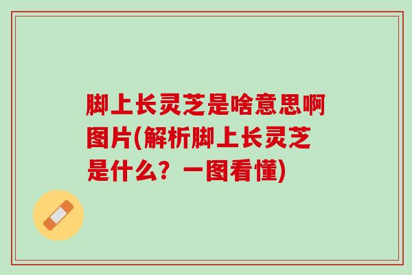 脚上长灵芝是啥意思啊图片(解析脚上长灵芝是什么？一图看懂)