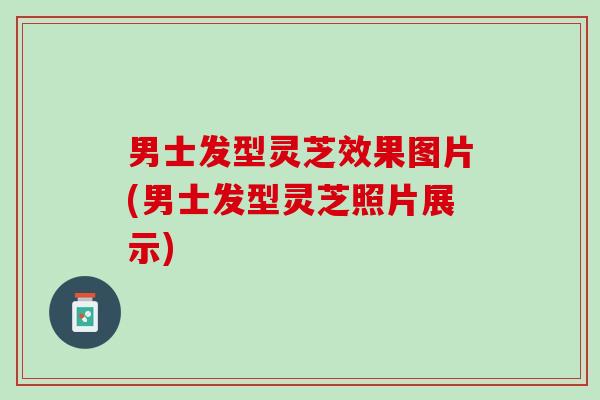 男士发型灵芝效果图片(男士发型灵芝照片展示)