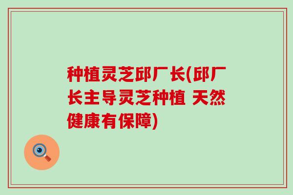 种植灵芝邱厂长(邱厂长主导灵芝种植 天然健康有保障)