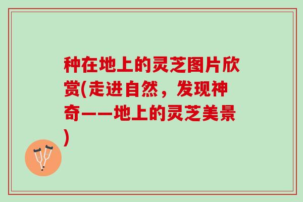 种在地上的灵芝图片欣赏(走进自然，发现神奇——地上的灵芝美景)