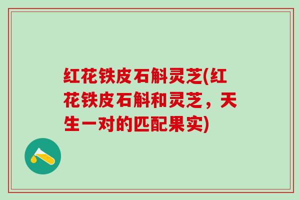 红花铁皮石斛灵芝(红花铁皮石斛和灵芝，天生一对的匹配果实)