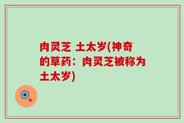 肉灵芝 土太岁(神奇的草药：肉灵芝被称为土太岁)