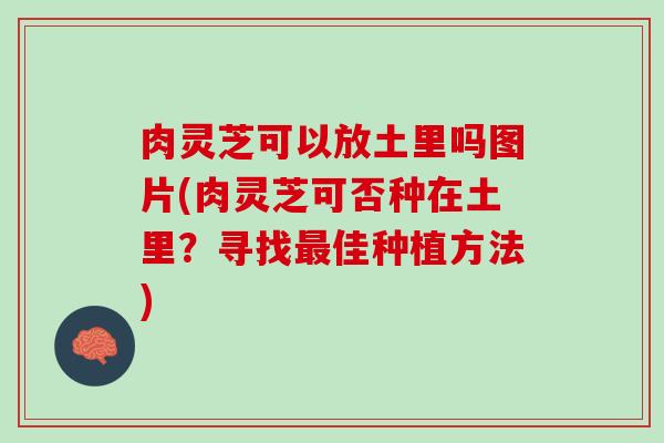 肉灵芝可以放土里吗图片(肉灵芝可否种在土里？寻找最佳种植方法)