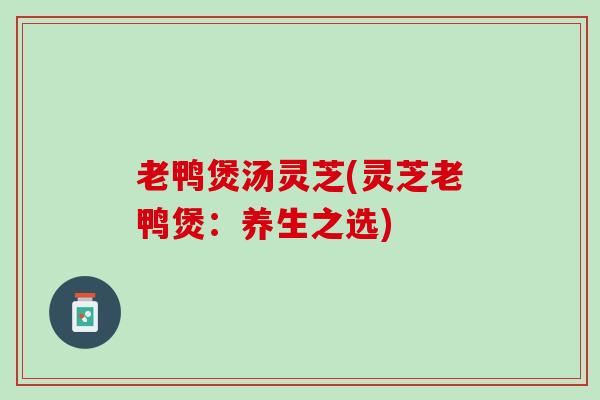 老鸭煲汤灵芝(灵芝老鸭煲：养生之选)