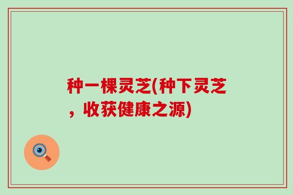 种一棵灵芝(种下灵芝，收获健康之源)