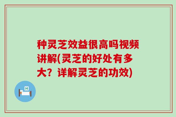 种灵芝效益很高吗视频讲解(灵芝的好处有多大？详解灵芝的功效)