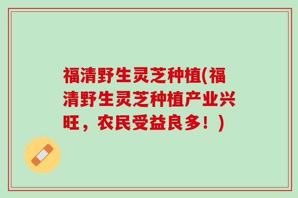 福清野生灵芝种植(福清野生灵芝种植产业兴旺，农民受益良多！)