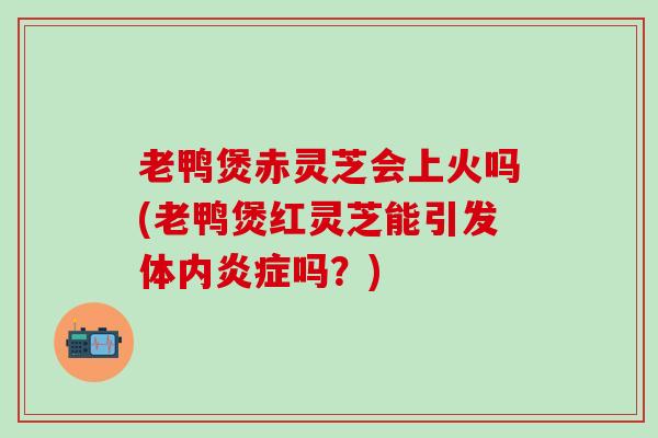 老鸭煲赤灵芝会上火吗(老鸭煲红灵芝能引发体内炎症吗？)