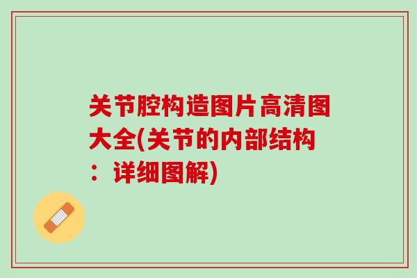 关节腔构造图片高清图大全(关节的内部结构：详细图解)