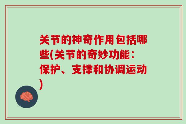 关节的神奇作用包括哪些(关节的奇妙功能：保护、支撑和协调运动)
