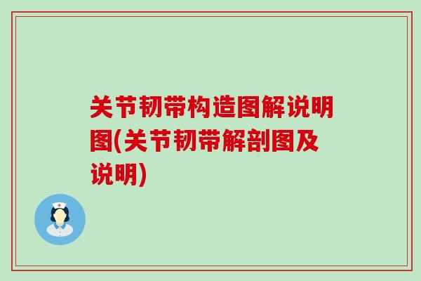关节韧带构造图解说明图(关节韧带解剖图及说明)