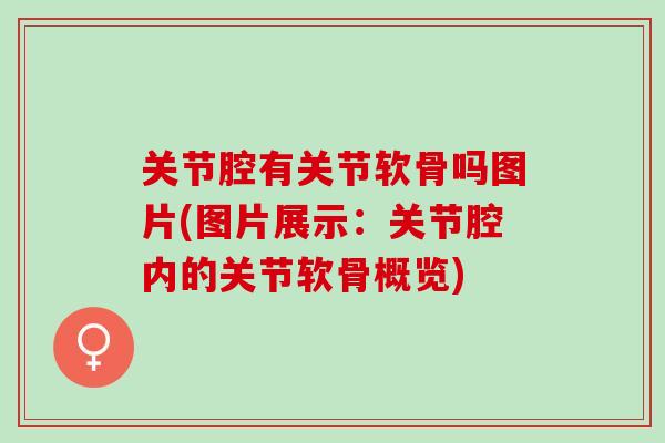 关节腔有关节软骨吗图片(图片展示：关节腔内的关节软骨概览)