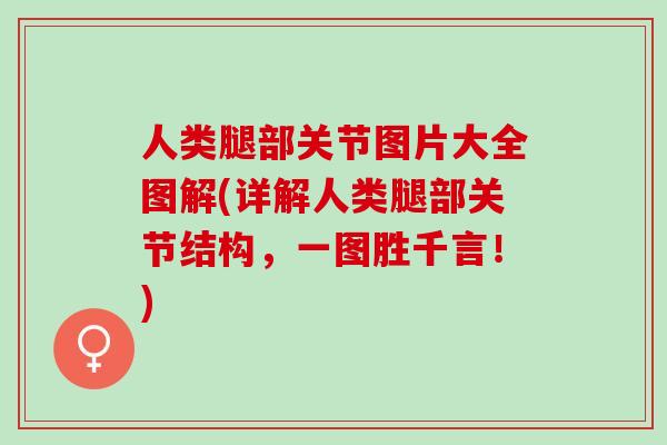 人类腿部关节图片大全图解(详解人类腿部关节结构,一图胜千言!) 人类腿部关节图片大全图解(详解人类腿部关节结构,一图胜千言!)