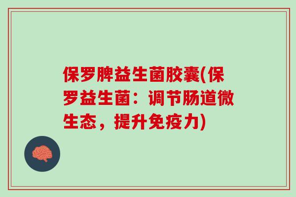 保罗脾益生菌胶囊(保罗益生菌：调节肠道微生态，提升免疫力)
